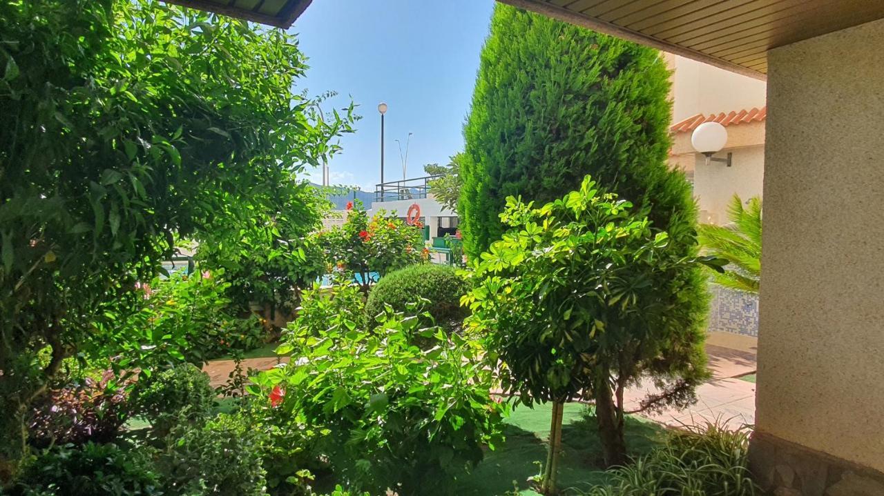 Jardines Gandia- Solo Familias Daire Playa de Gandia Dış mekan fotoğraf